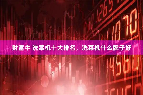 财富牛 洗菜机十大排名，洗菜机什么牌子好