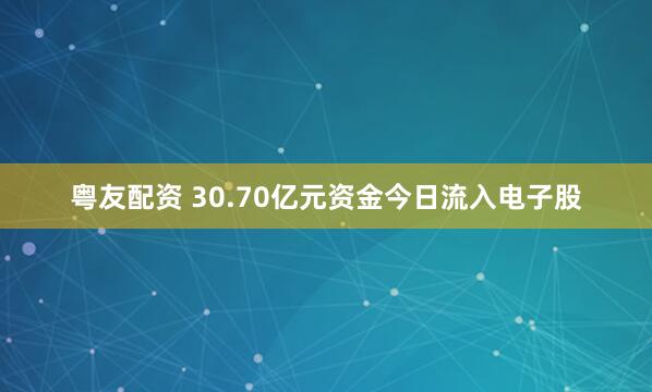 粤友配资 30.70亿元资金今日流入电子股
