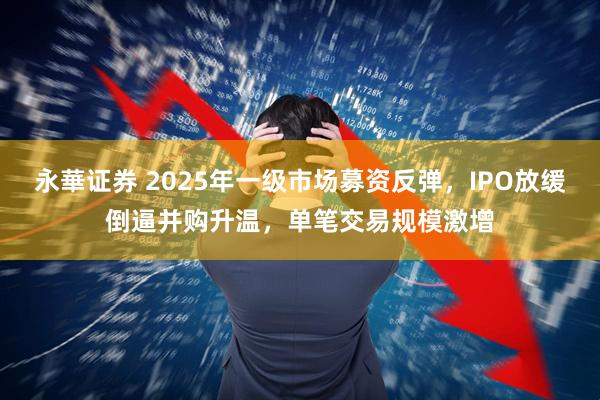 永華证券 2025年一级市场募资反弹，IPO放缓倒逼并购升温，单笔交易规模激增