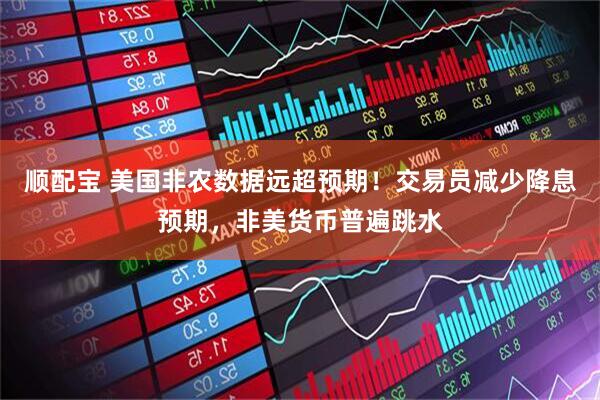 顺配宝 美国非农数据远超预期！交易员减少降息预期，非美货币普遍跳水