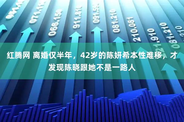 红腾网 离婚仅半年，42岁的陈妍希本性难移，才发现陈晓跟她不是一路人